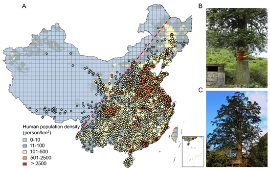 a7762bf7d3bf4d48b72a8a07296ec9b1.png image.png