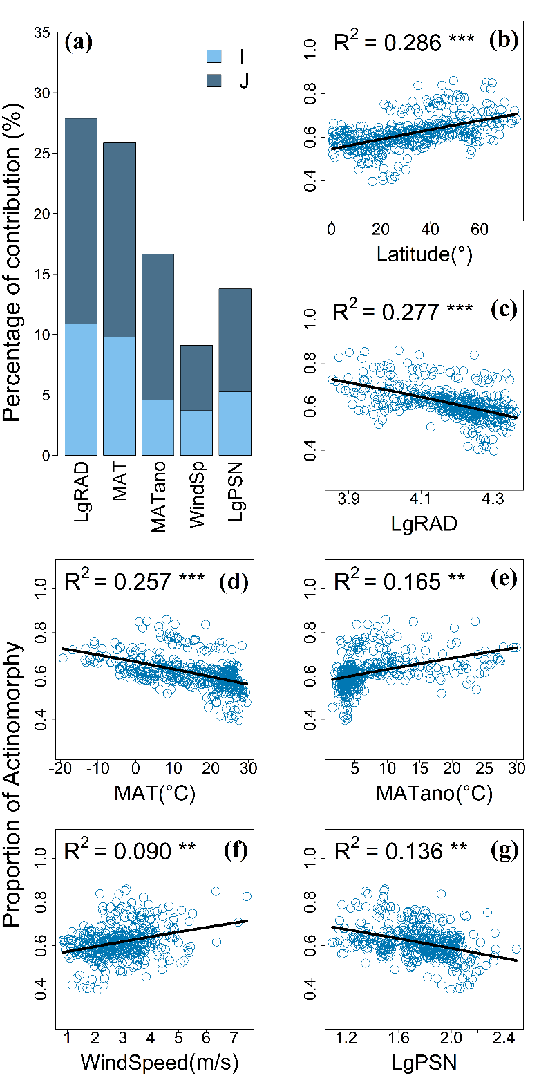 453a54ab4a2a42de99c1347016cb4418.png 453a54ab4a2a42de99c1347016cb4418.png