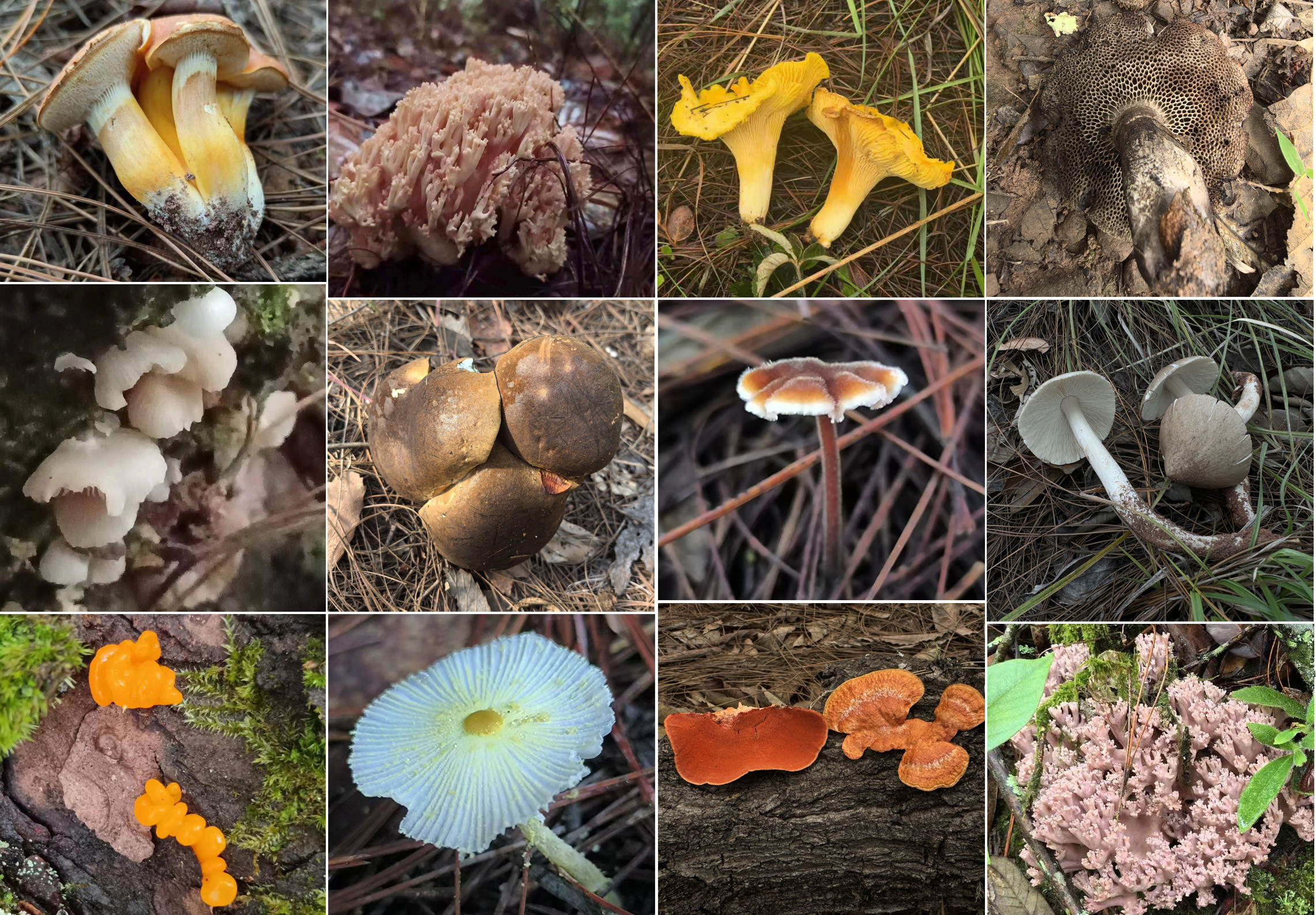 0204ca2428af405b95526bfe2cd10f4e.jpg 微信图片_20240812102041.jpg