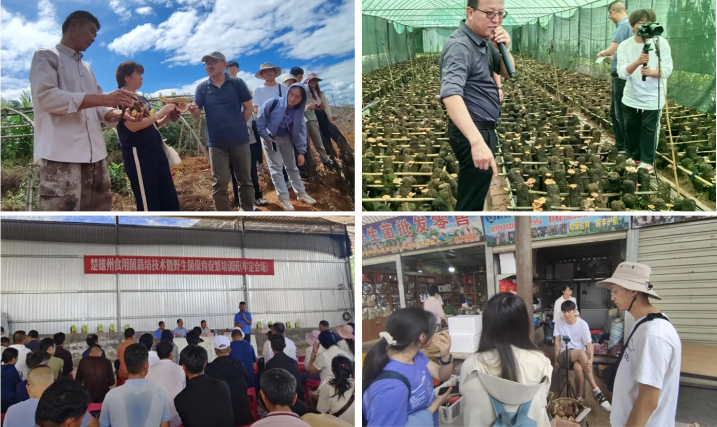 a2eb6865547f43c29a344bfa71f9b343.jpg 微信图片_20240812101752.jpg