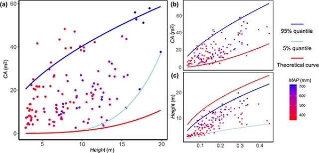 20200805159659604033705426.jpg 1-文中.jpg